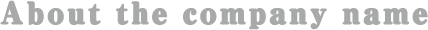 About the company name