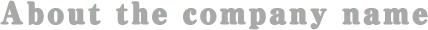 About the company name